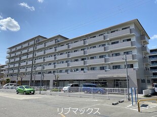 甲南山手駅 徒歩7分 5階の物件外観写真